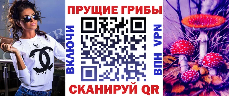 что такое   Демидов  Псилоцибиновые грибы Psilocybine cubensis 